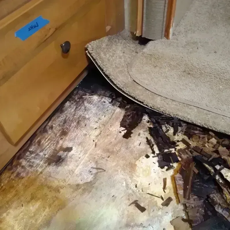 Wood Floor Water Damage in Chantilly, VA